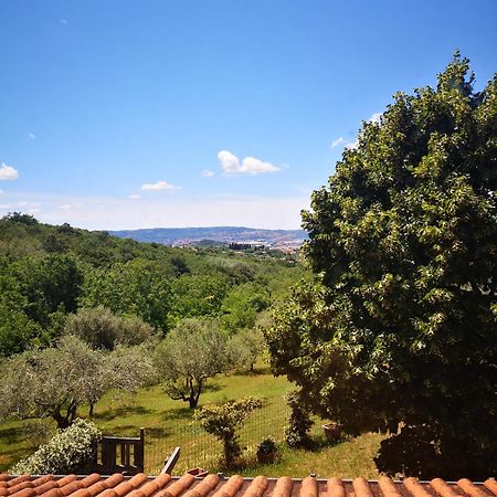 Apartma Rok Plavje Luaran gambar